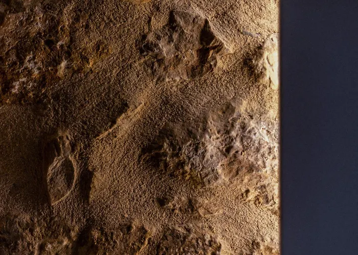 Dom wakacyjny Hawk Tower - Towers Complex